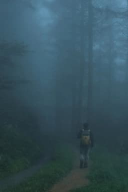 Men Wandering in the Mountain