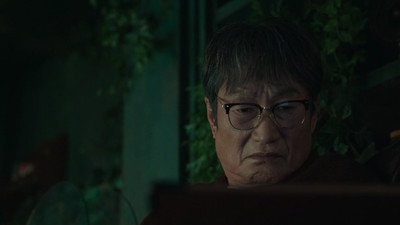 Ms. Incognito, Episode 11
