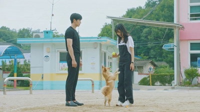 Blooming: Jeong-i Blossoms