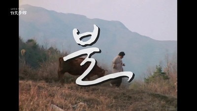Fire (1986)