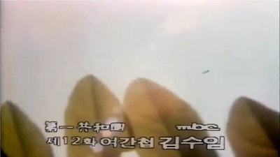 Female Spy Kim Su-im