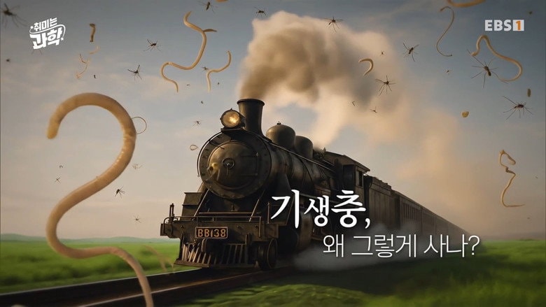 Episode 28