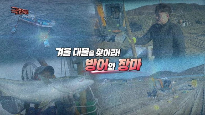 Episode 1211