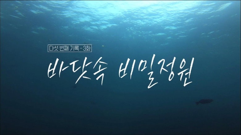 Episode 16