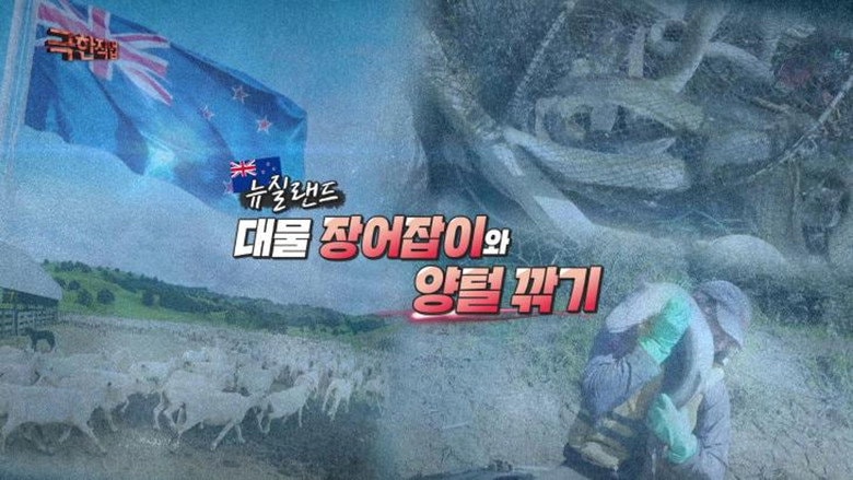 Episode 1210