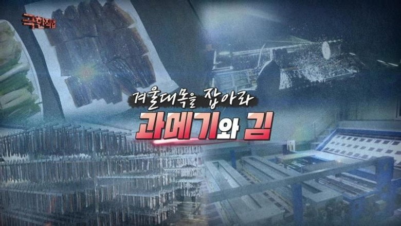 Episode 1218