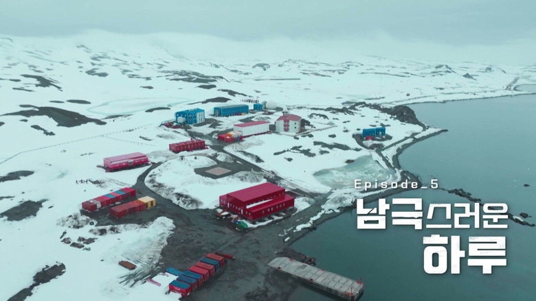 A Very Antarctic Day