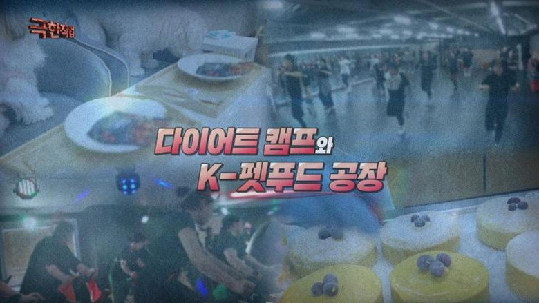 Episode 1214