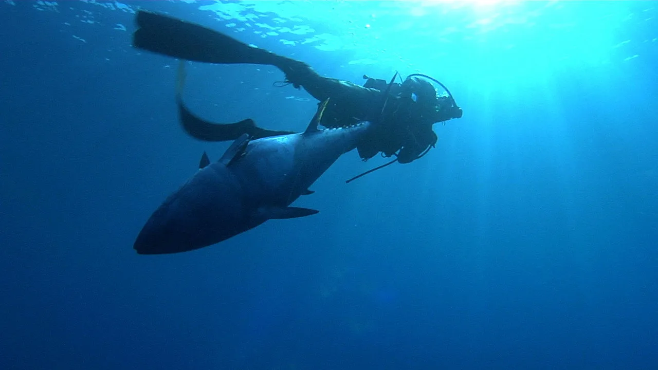 Fish Planet