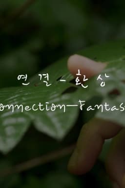 Connection—Fantasy